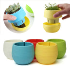 Succulent Plants Flower Pot Flower Pots Mini Desk Plants Succulents Pot Home Garden Decoration Nursery Pots Home Decor TMZ