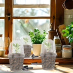 5Pcs Seedling Nursery Pots Transparent Pastic Flower Plant Seed Stater Cup with Cover Garden Mini Flowerpot Humidity Dome