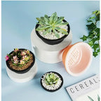 Large New Succulent Plant Pot Plastic Round Succulent Plant Pot Low Pot