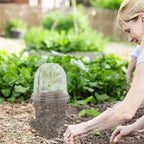 5Pcs Seedling Nursery Pots Transparent Pastic Flower Plant Seed Stater Cup with Cover Garden Mini Flowerpot Humidity Dome