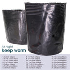 Black Plastic Seedling Pots Flower Plant Grow Container for Agriculture Vegetable Garden Nursery Transplant Growth Nutrition Bag