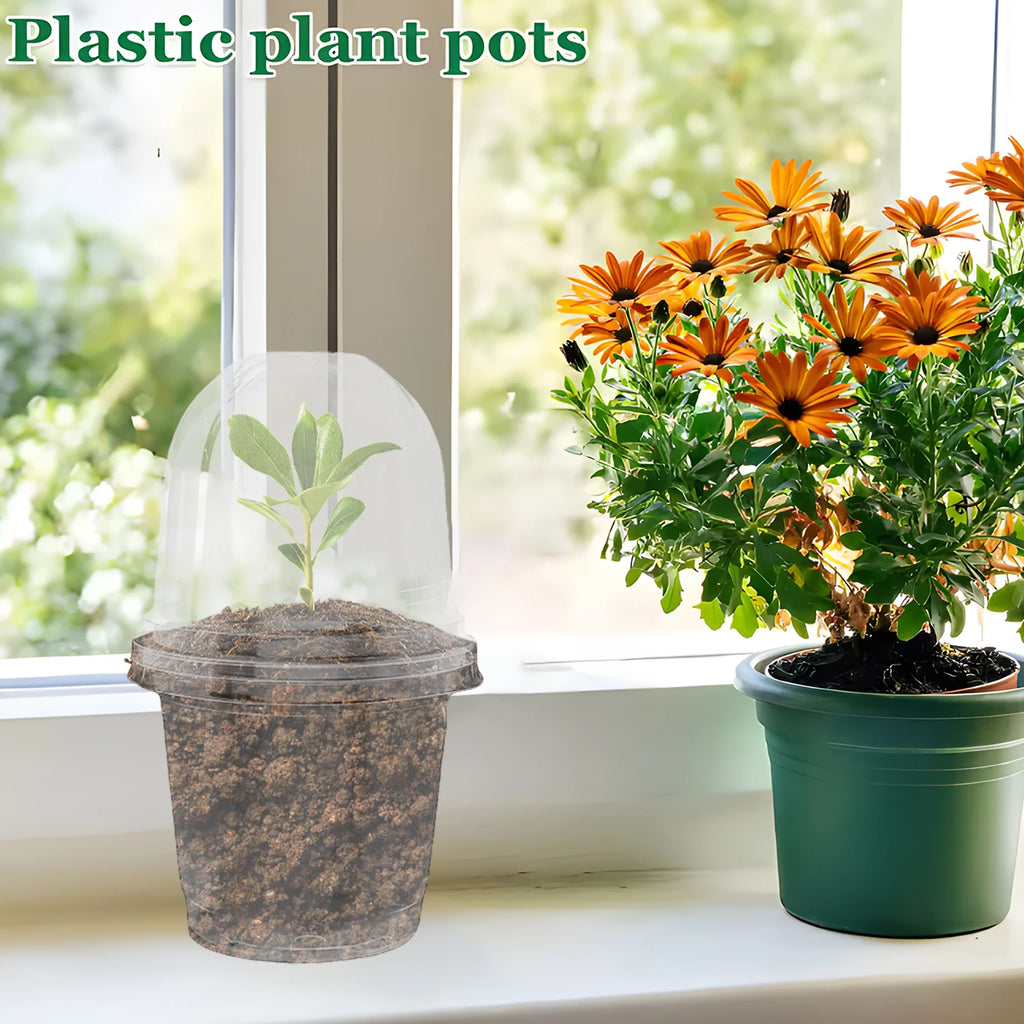 5Pcs Seedling Nursery Pots Transparent Pastic Flower Plant Seed Stater Cup with Cover Garden Mini Flowerpot Humidity Dome
