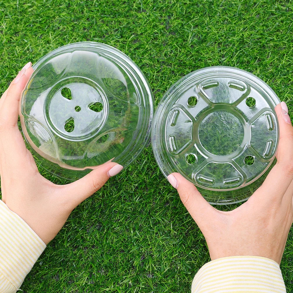 5Pcs Seedling Nursery Pots Transparent Pastic Flower Plant Seed Stater Cup with Cover Garden Mini Flowerpot Humidity Dome