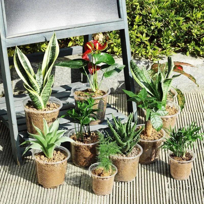 New 5PCS Round Seed Starter Tray Transparent Planter Nursery Pots With Drainage Hole For Orchid Plants Flowers Garden Tools