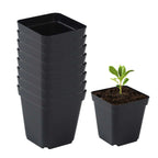 50Pcs Seedling Pots Square Plant Seeding- Planting Cup Plastic Deep Nursery Tree Pot Flower Plant Container Pot Garden Grow