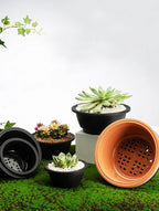 Large New Succulent Plant Pot Plastic Round Succulent Plant Pot Low Pot