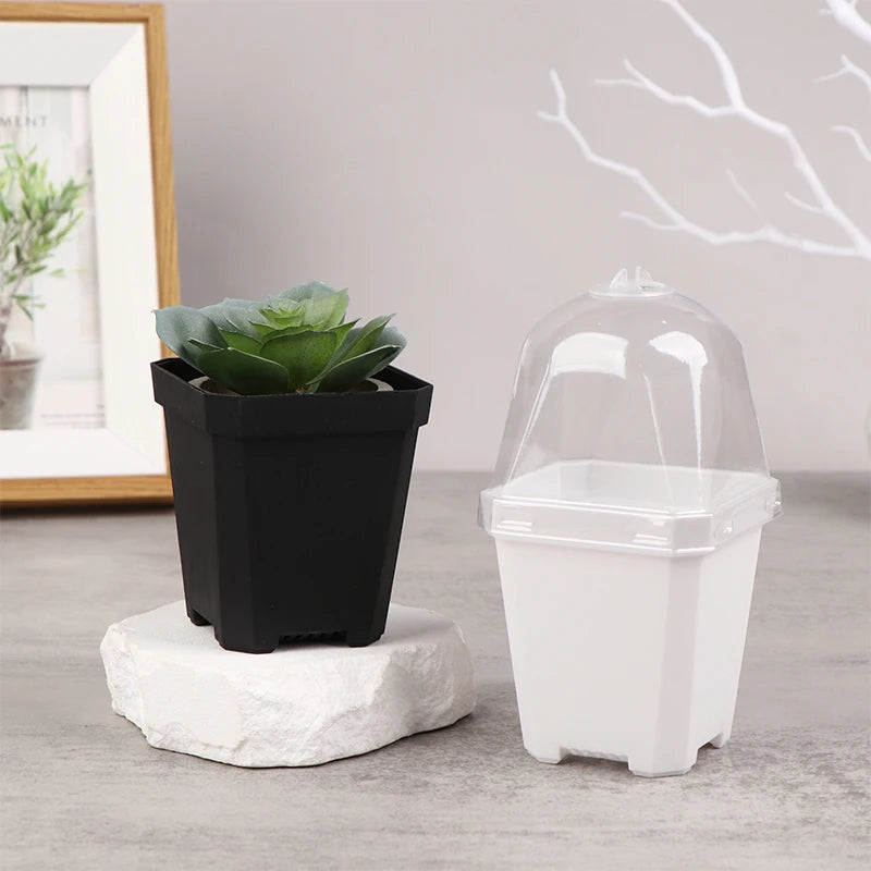 5Pcs Square Small Flower Pot Nursery Pot With Humidity Dome Transparent Gardening Pot Square Flower Starting Pots