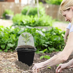 Plant Seedling Nutrition Cups Starting Grow Cup Flower Plant Container Mini Flowerpot Inside Succulents Gardening Box Planters