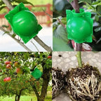 Plant Rooting Ball Propagation Root Box Reusable Plant Root Breeding Ball Garden Cuttings Grafting High Pressure Propagation Pot