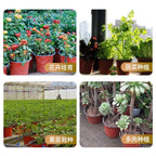 20pcs Plastic Flowerpots Simple Nursery Seedling Pot Flowers Seed Breeding Planters Container Box Garden Supplies Tool