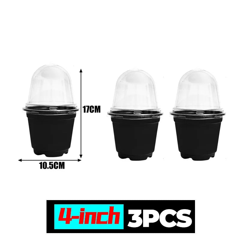 Plant Seedling Nutrition Cups Starting Grow Cup Flower Plant Container Mini Flowerpot Inside Succulents Gardening Box Planters